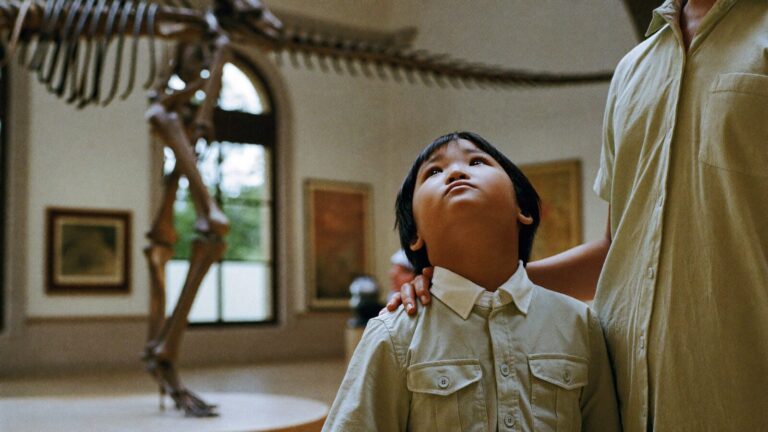 A child looking up in wonder at a fossil skeleton in a natural history gallery
